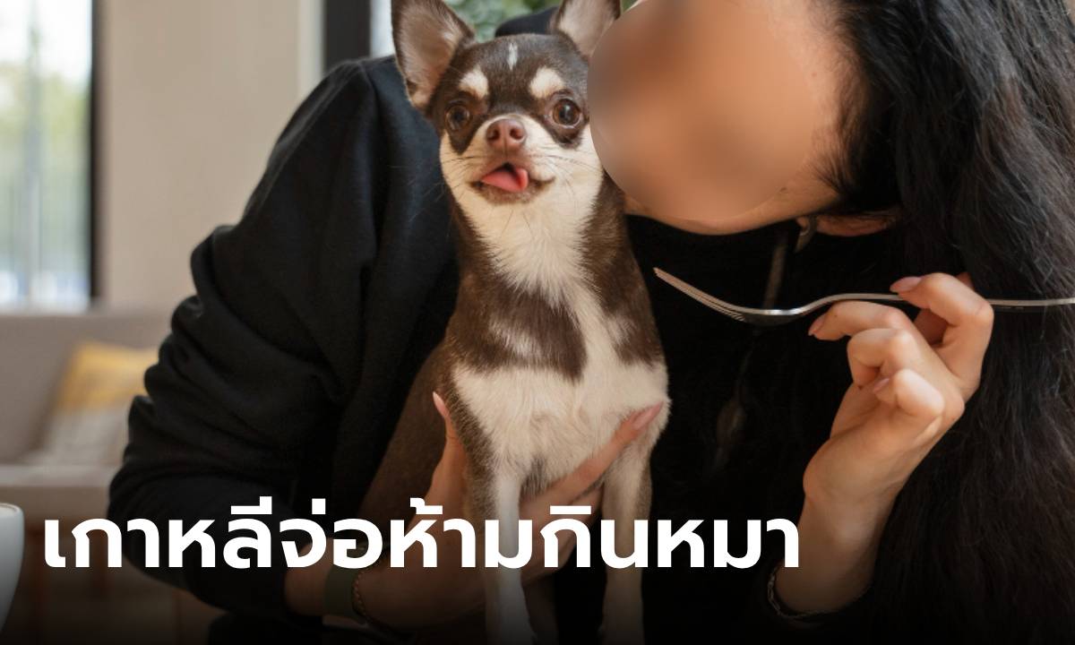 ปิดตำนานกินหมา เกาหลีใต้จ่อออกกฎหมาย “ห้ามกินเนื้อสุนัข” ถึงเวลาแล้วที่จะเอาจริง
