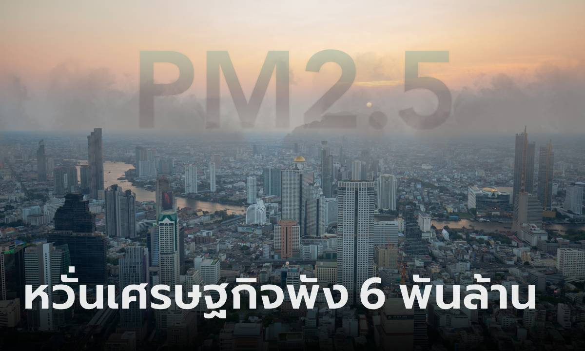 นักวิชาการชี้ รบ.เพิกเฉยแก้ฝุ่น PM 2.5 อาจทำเศรษฐกิจพัง 6 พันล้านบาท