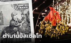 เปิดตำนานหดหู่ "มิสเซิลโท" สื่อกลางชีวิตกับความตาย สู่ธรรมเนียมจูบในคืนคริสต์มาส