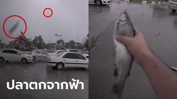 ยังกับในหนัง ปลาตัวเป็นๆ ตกจากฟ้าที่อิหร่าน ผู้เชี่ยวชาญเฉลย "ฝนปลา" เกิดจากอะไร