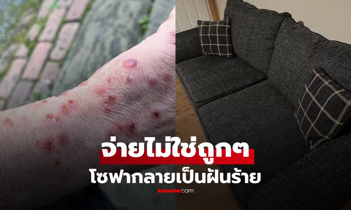 ซื้อไม่ใช่ถูกๆ โซฟาราคา 14,000 นั่งแล้วมี "รอยกัด" ยับเยินทั้งตัว ส่องดูข้างในถึงกับสยอง!