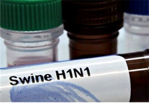 WHO เล็งประกาศยุติการระบาดไข้หวัดเอช 1 เอ็น 1