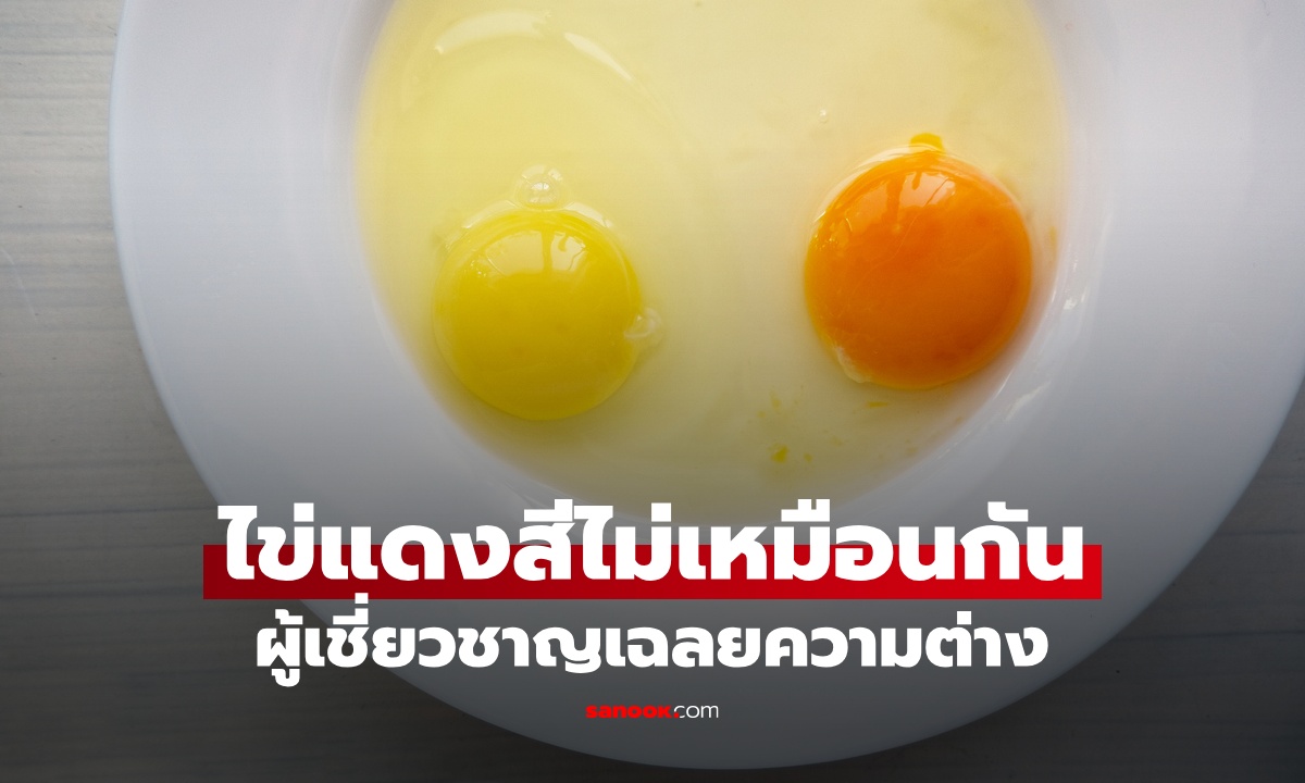 "ไข่แดง" สีไม่เหมือนกัน เหลือง-ส้ม-แดง ต่างกันยังไง? ผู้เชี่ยวชาญเฉลยแล้ว