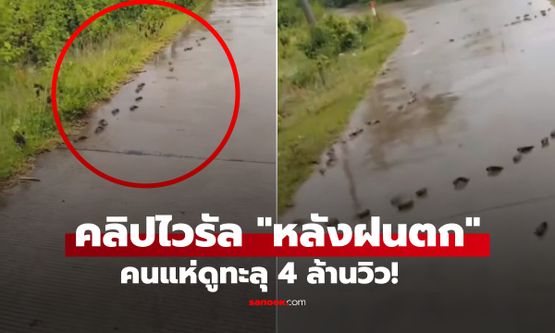 ลงปุ๊บคนดูเป็นล้าน! คลิป 27 วินาที "หลังฝนตก" สาวปั่นจักรยานผงะ ตัวอะไรขึ่นมาเกลื่อนถนน?!