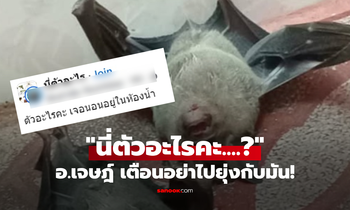 สาวโพสต์ถาม "นี่ตัวอะไร" นอนหงายในห้องน้ำ อ.เจษฎ์ รีบเตือนเสี่ยงไวรัส อย่าไปยุ่งกับมัน!!!