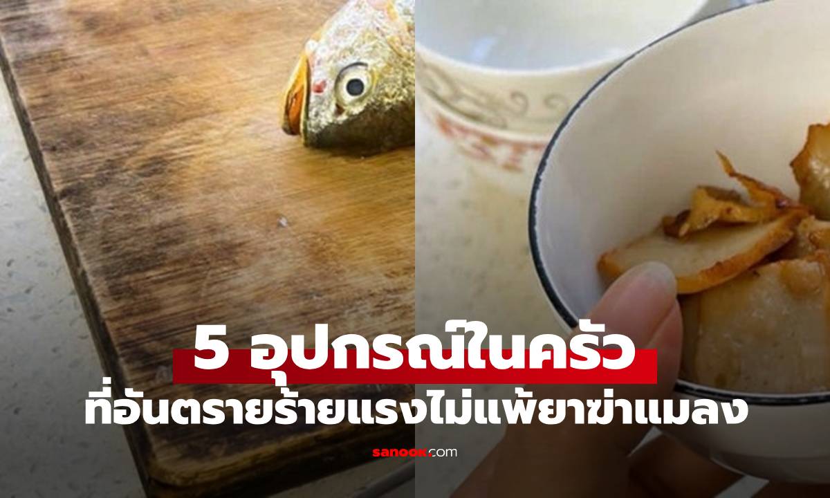 5 เครื่องครัว "มีพิษ" เท่ายาฆ่าแมลง เก็บไว้มีแต่นำโรคเข้าร่างกาย แต่หลายบ้านยังใช้