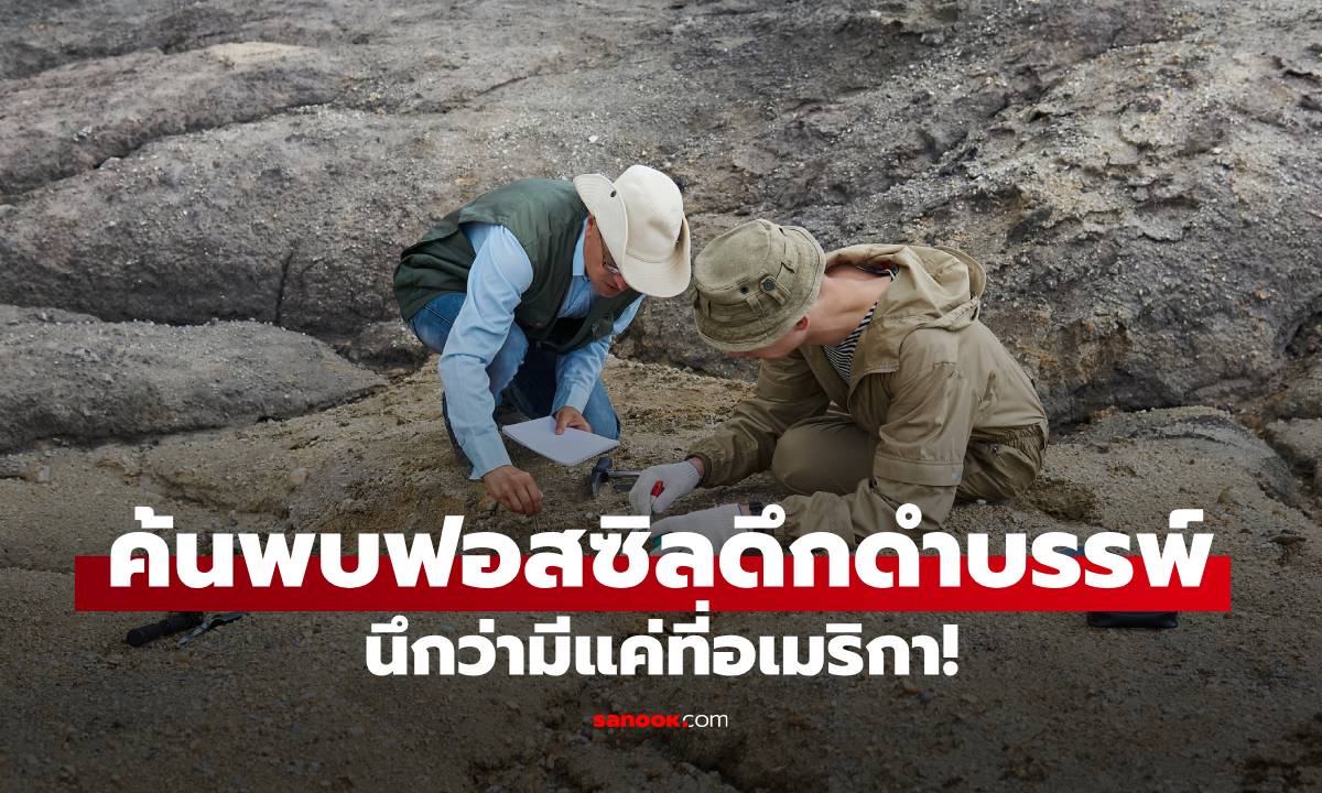 นักวิจัยพบฟอสซิลใหม่ คล้ายฮิปโป เคยเชื่อว่ามีแค่อเมริกา