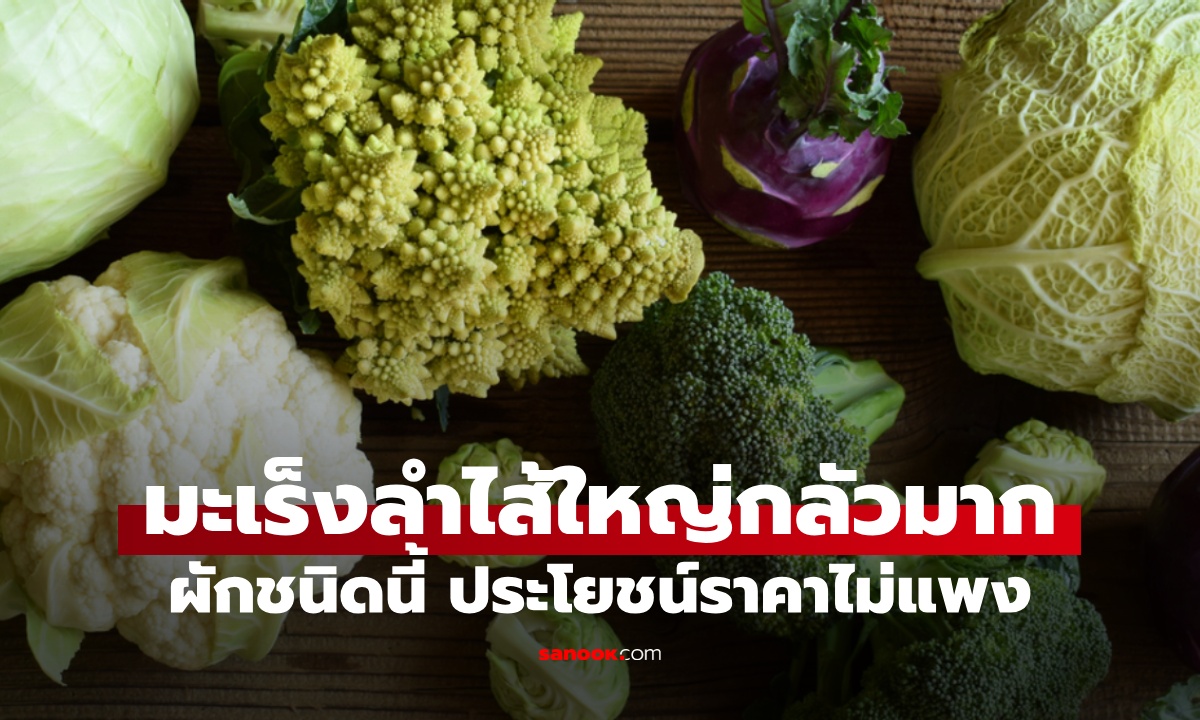 มะเร็งลำไส้ใหญ่กลัวมาก "ผักชนิดนี้" วิจัยชี้ลดความเสี่ยงโรค ประโยชน์ราคาไม่แพง