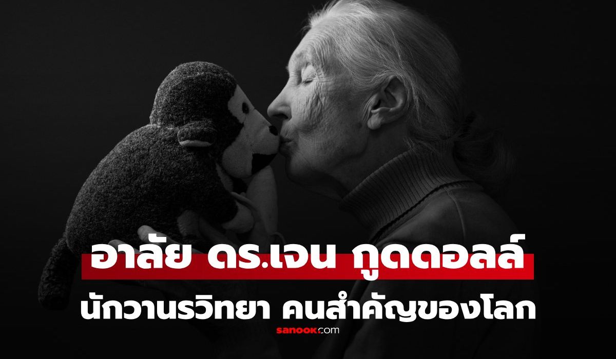 อาลัย Dr.Jane Goodall นักวานรวิทยา เสียชีวิตแล้ว งานของเธอสำคัญต่อโลกนี้เหลือเกิน