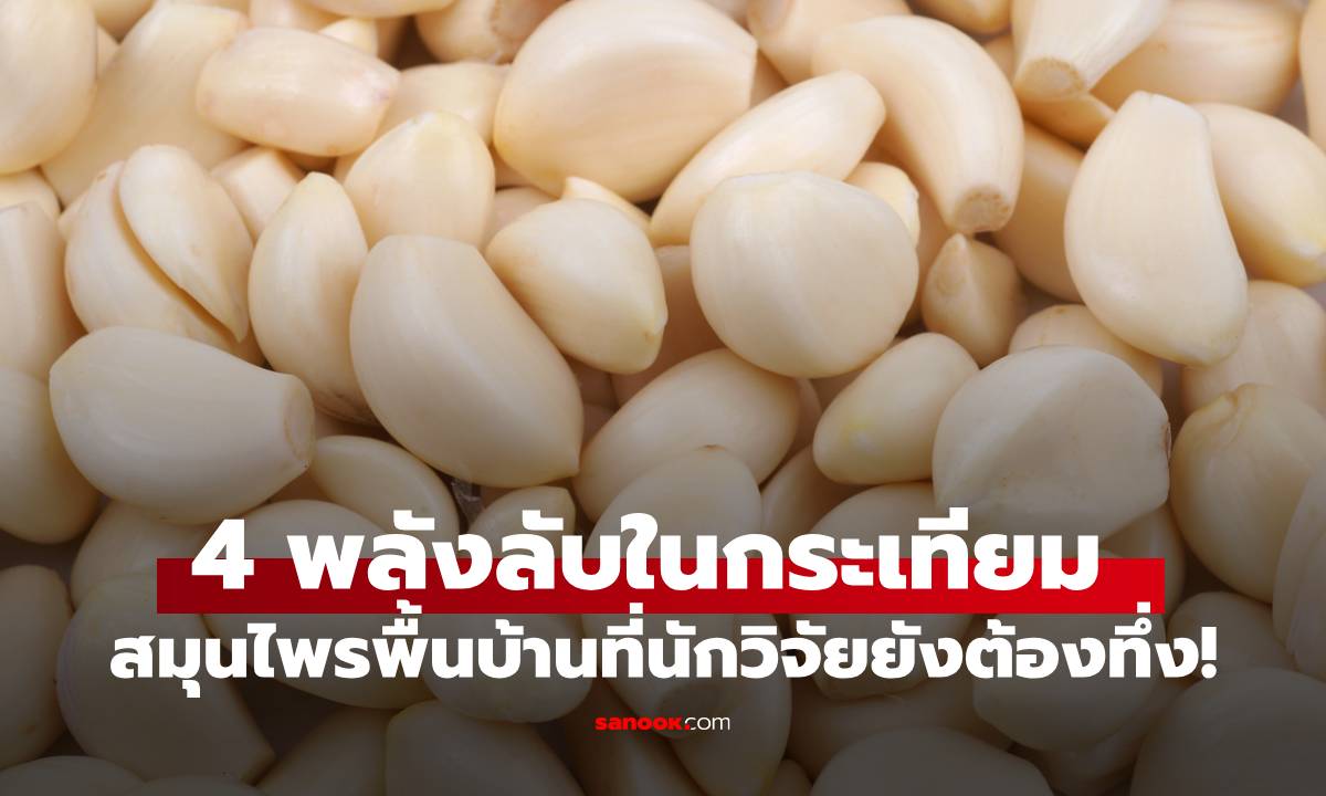 4 พลังลับในกระเทียม สมุนไพรพื้นบ้านที่นักวิจัยยังต้องทึ่ง!