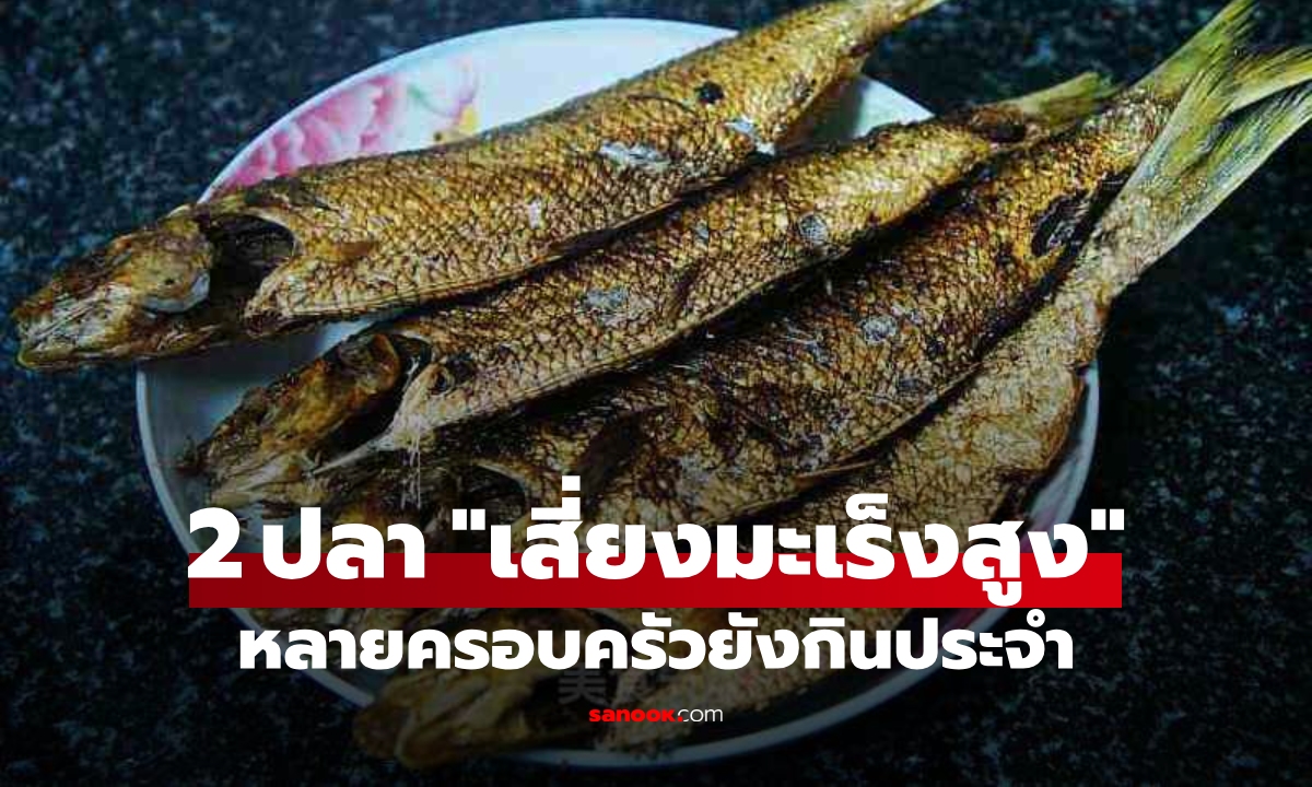 ปลา 2 ชนิดนี้ “เสี่ยงมะเร็งสูง” นักวิจัยชี้ชัด! หลายบ้านกินทุกสัปดาห์ คิดว่าบำรุงสุขภาพ
