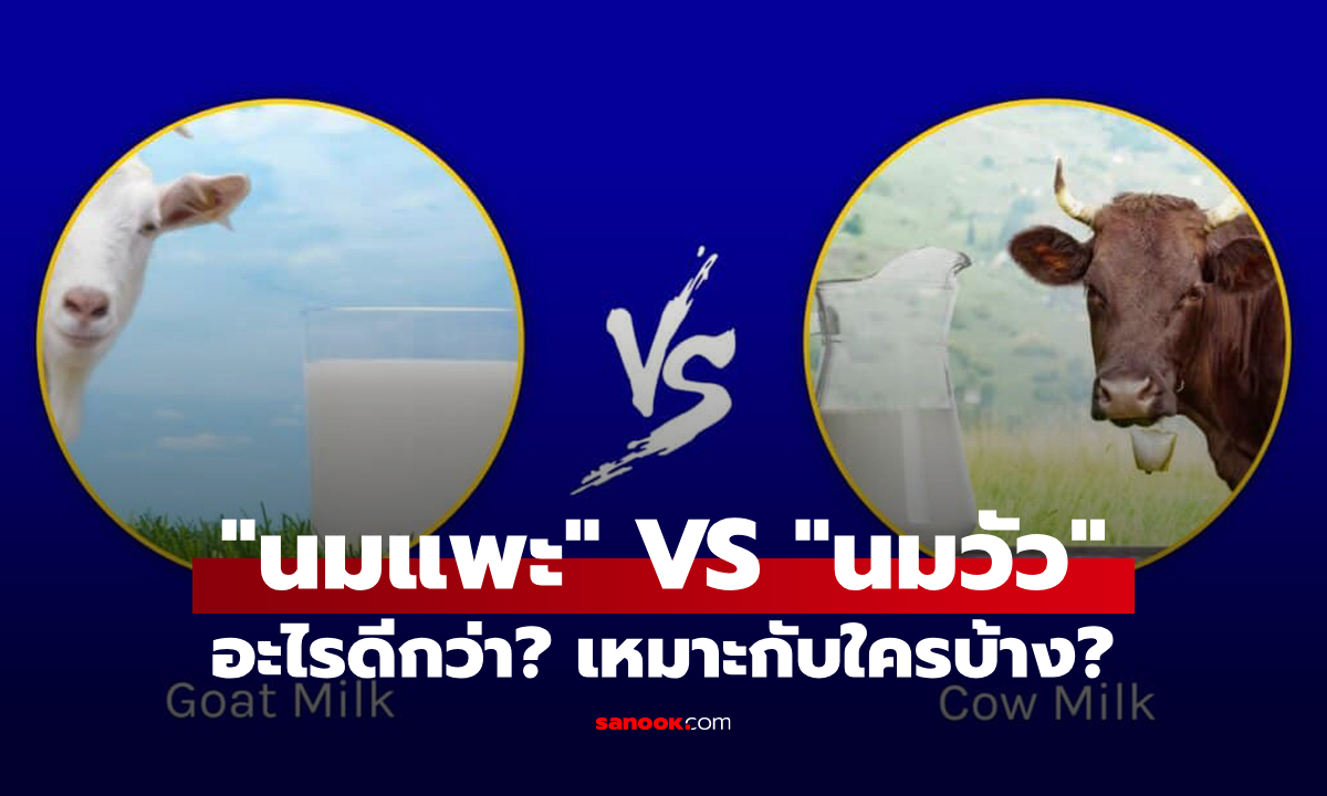 "นมแพะ" กับ "นมวัว" อะไรมีสารอาหารมากกว่า? แต่ละอันเหมาะกับคนแบบใด?