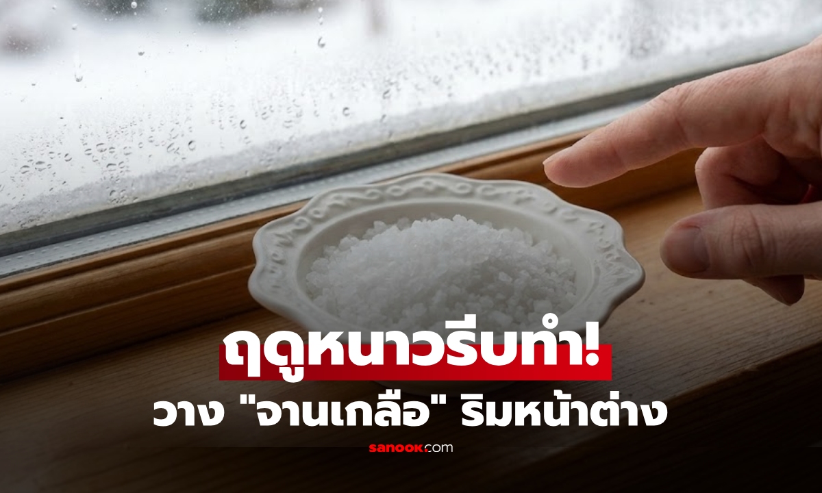 ทำไม? กูรูแนะให้วาง "จานเกลือ" ไว้ริมหน้าต่าง ในช่วงหน้าหนาว รู้แล้วรีบทำตาม!