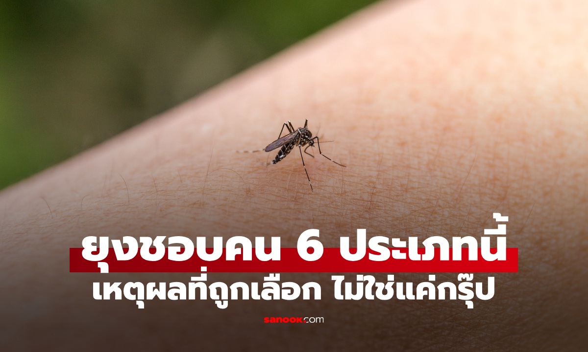 คน 6 ประเภท "ยุงชอบกัด" สาเหตุที่ทำให้เราเป็นผู้ถูกเลือก ไม่ใช่แค่กรุ๊ปเลือด