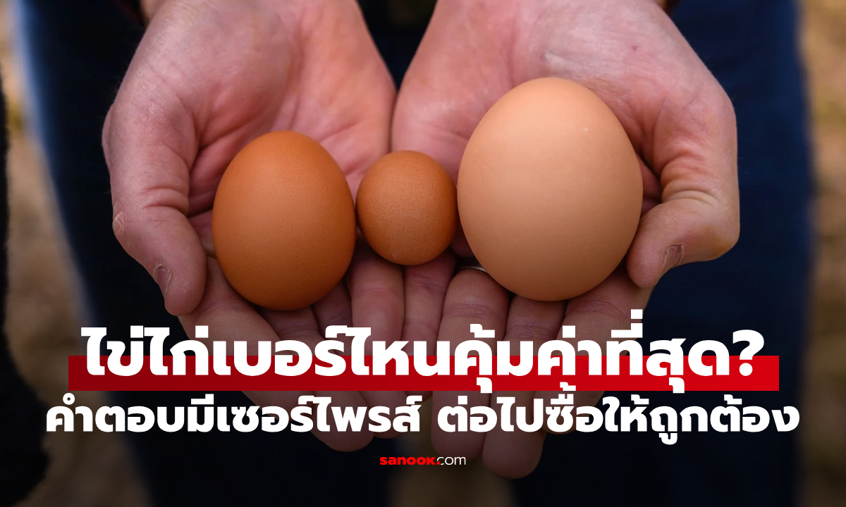 ไข่ไก่ "เบอร์ไหน" คุ้มค่าที่สุด? คำตอบมีเซอร์ไพรส์ ต่อไปซื้อให้ถูกต้อง
