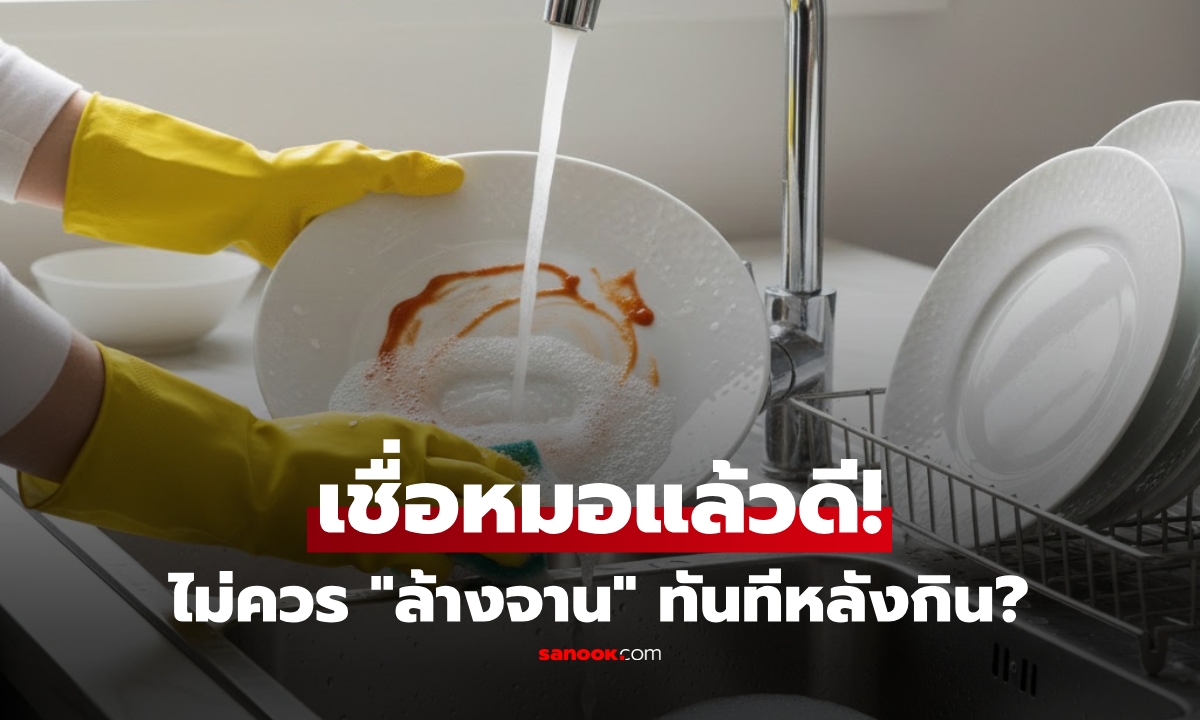 หยุดก่อน! ทำไมไม่ควร "ล้างจานทันที" หลังกินเสร็จ? เคล็ดลับ "หมอ" ที่เปลี่ยนชีวิตแม่บ้าน