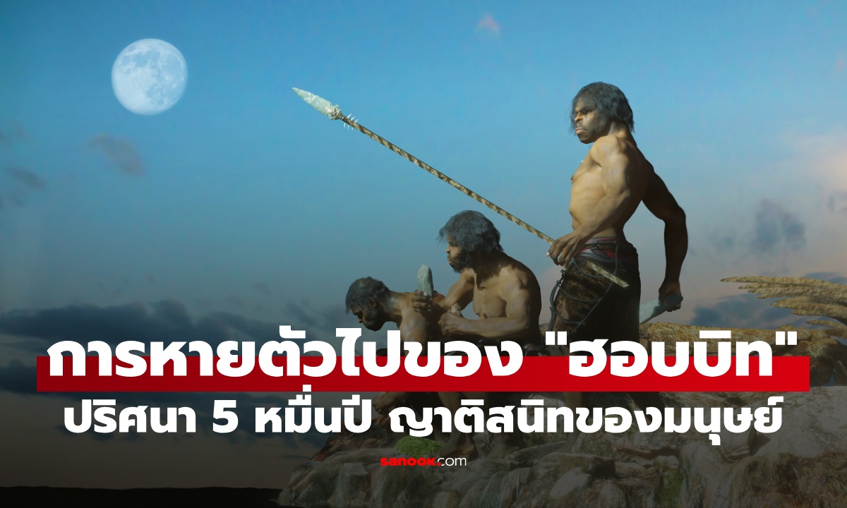 ไขปริศนา 5 หมื่นปี การหายตัวไปของ "ฮอบบิท" ญาติสนิทสุดท้ายของมนุษย์