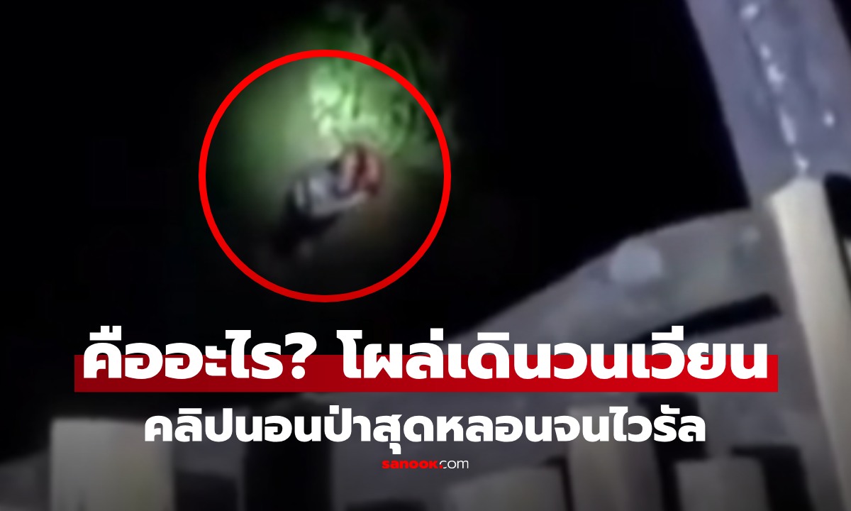 จริง หรือ คอนเทนต์? คลิปไวรัล ต่างชาติแห่ดูกว่า 30 ล้านครั้ง "อะไรในป่าไทย" อย่างหลอน!