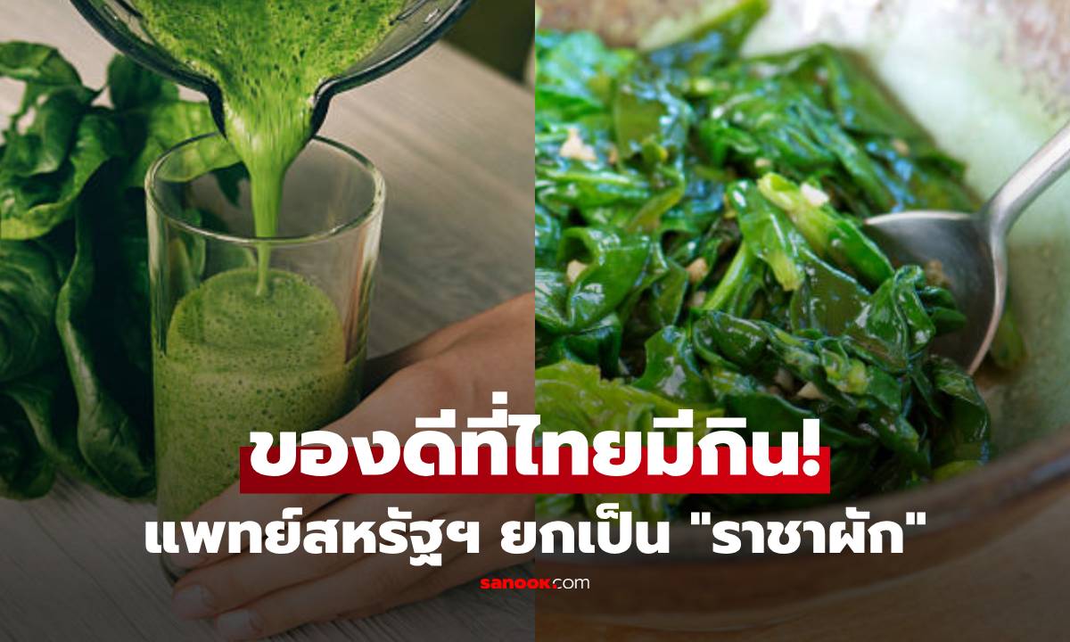 แพทย์ยกนิ้ว! "ราชาผักใบเขียว" โฟเลตเหนือแอปเปิ้ล 38 เท่า กระดูกแข็ง-สมองดี-ต้านสโตรก