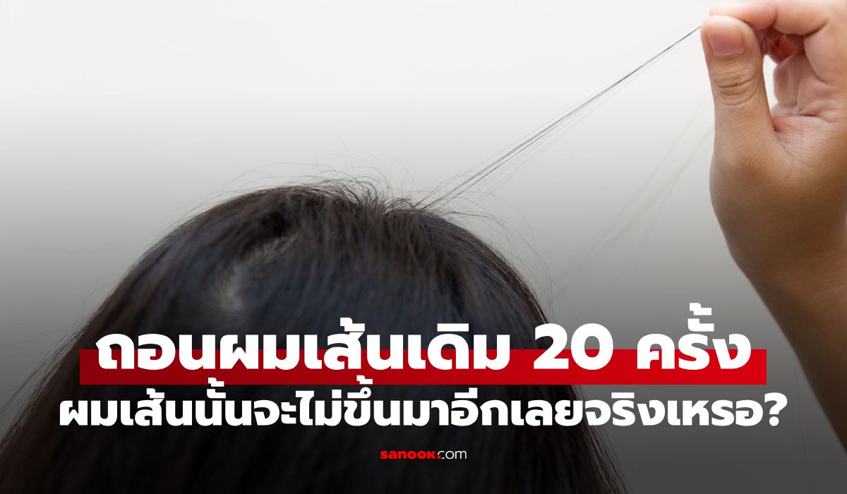 จริงหรือไม่? ถอนผมเส้นเดิม 20 ครั้ง ผมเส้นนั้นจะไม่ขึ้นมาอีกตลอดชีวิต