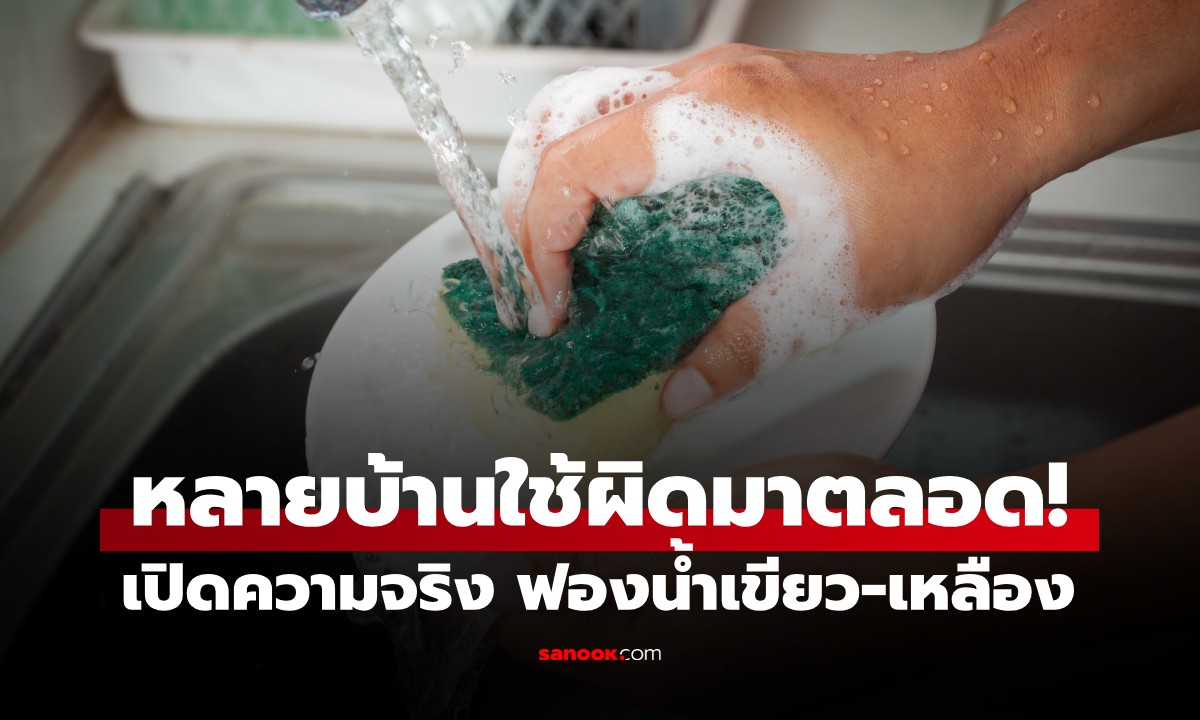 เพิ่งรู้ก็วันนี้! "ฟองน้ำล้างจานเขียว-เหลือง" ไม่เหมาะกับจานชาม เฉลยสีไหนใช้กับอะไร