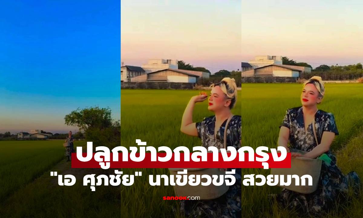 "เอ ศุภชัย" เปิดร้านขายข้าวแกง ลงทุนปลูกข้าวกลางกรุง นาเขียวขจี สวยมาก