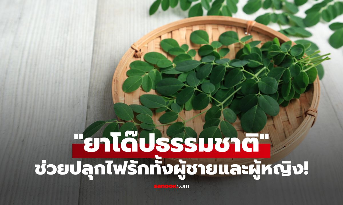 พืชริมรั้วสรรพคุณเด่น เจ้าของฉายา "ยาโด๊ปธรรมชาติ" ช่วยปลุกไฟรักทั้งผู้ชายและผู้หญิง!