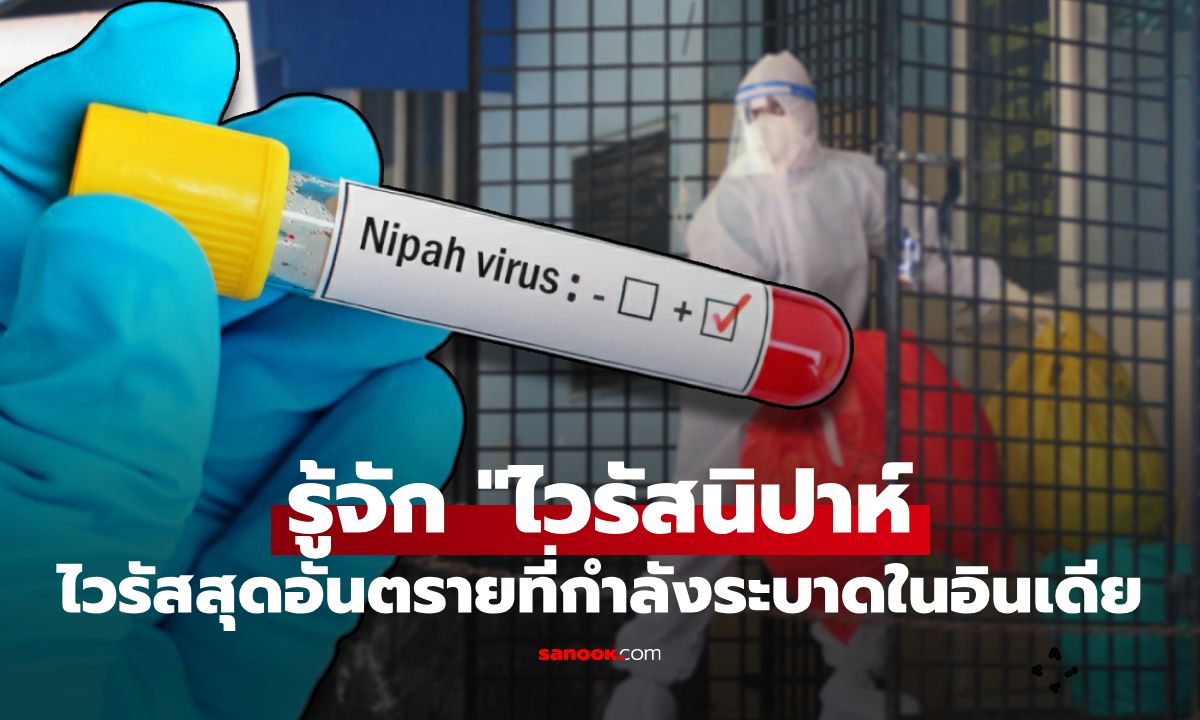 รู้จัก "ไวรัสนิปาห์" ไวรัสสุดอันตราย ที่เพิ่งกลับมาระบาดใหญ่ในประเทศอินเดีย!