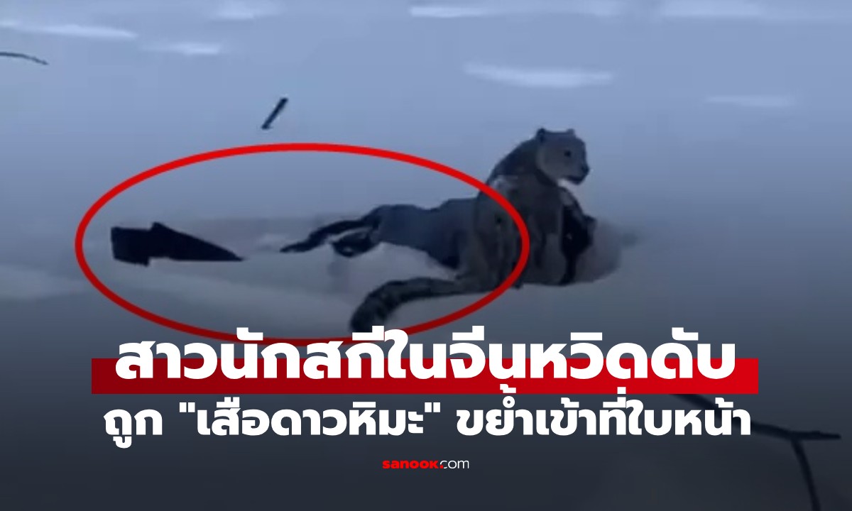 นาทีชีวิต! สาวสกีหวิดดับ เข้าใกล้ "เสือดาวหิมะ" หวังเซลฟี่ จนถูกขย้ำที่ใบหน้า (มีคลิป)