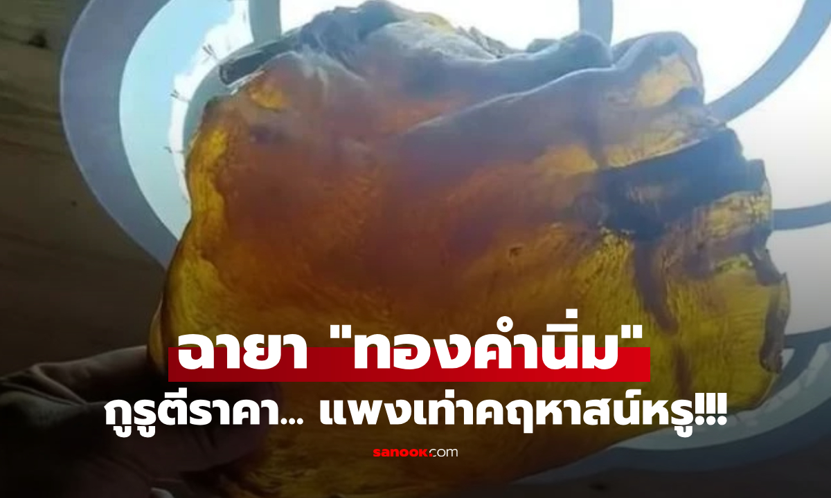 แจ็กพอต!! เปิดถังข้าวสารเจอ "ซากแห้งๆ" ทิ้งไว้ 50 ปี กูรูชี้ฉายา "ทองคำนิ่ม" แพงเท่าบ้านหรู