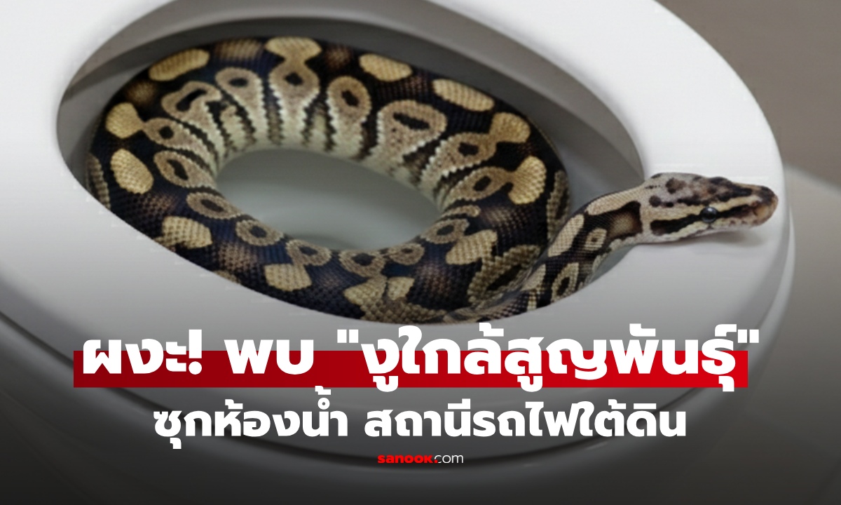ผงะ! งู 2 ตัว โผล่ห้องน้ำรถไฟใต้ดิน อึ้ง หนึ่งในนั้นเป็น “งูใกล้สูญพันธุ์” เร่งส่งอุทยานฯ