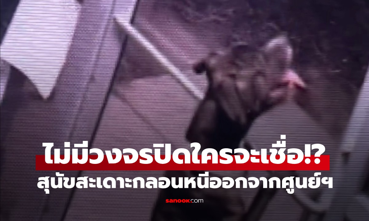 น้องหมา "ยอดนักแหกคุก" สะเดาะกลอนหนีออกจากศูนย์ฯ เพื่อเดินกลับบ้านเอง (มีคลิป)