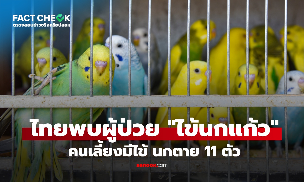 ไทยพบผู้ป่วย "ไข้นกแก้ว" จำนวน 1 ราย นกแก้ว 19 ตัว ตาย 11 ตัว : เช็กข่าวชัวร์