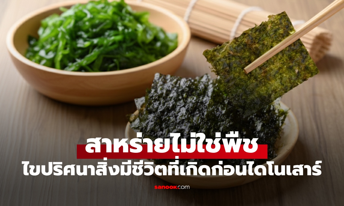 สาหร่ายไม่ใช่พืช! ไขปริศนา "สิ่งมีชีวิต" เกิดก่อนไดโนเสาร์ แล้วเขียวๆ ที่เรากินมันคืออะไร