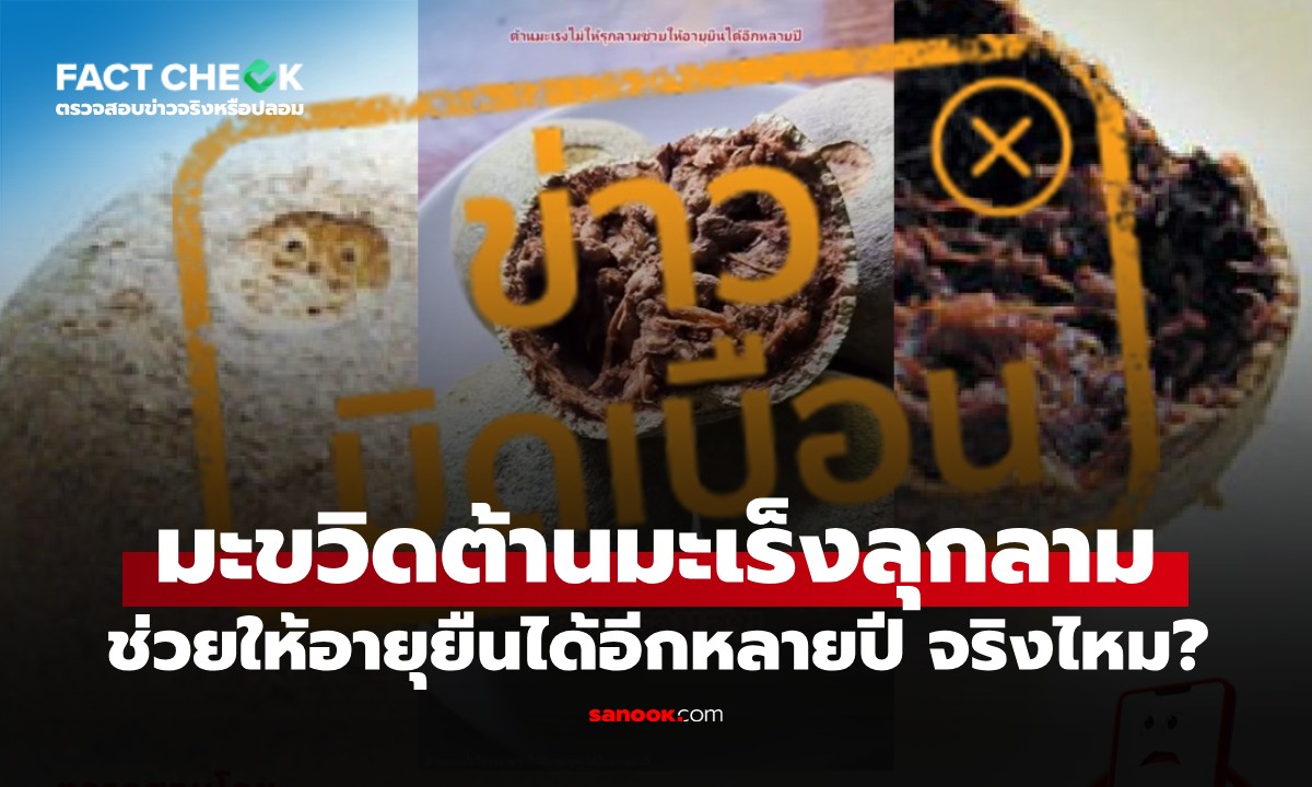 "มะขวิด" ช่วยต้านมะเร็งไม่ให้ลุกลาม ช่วยให้อายุยืนได้อีกหลายปี? : เช็กข่าวชัวร์