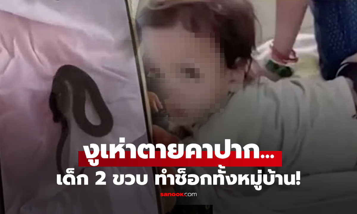 ใจเพชร! หนูน้อย 2 ขวบ โดนงูเห่ารัด โมโหจัด "กัดหัวงู" ขาดใจตายคาปาก ก่อนสลบตาม