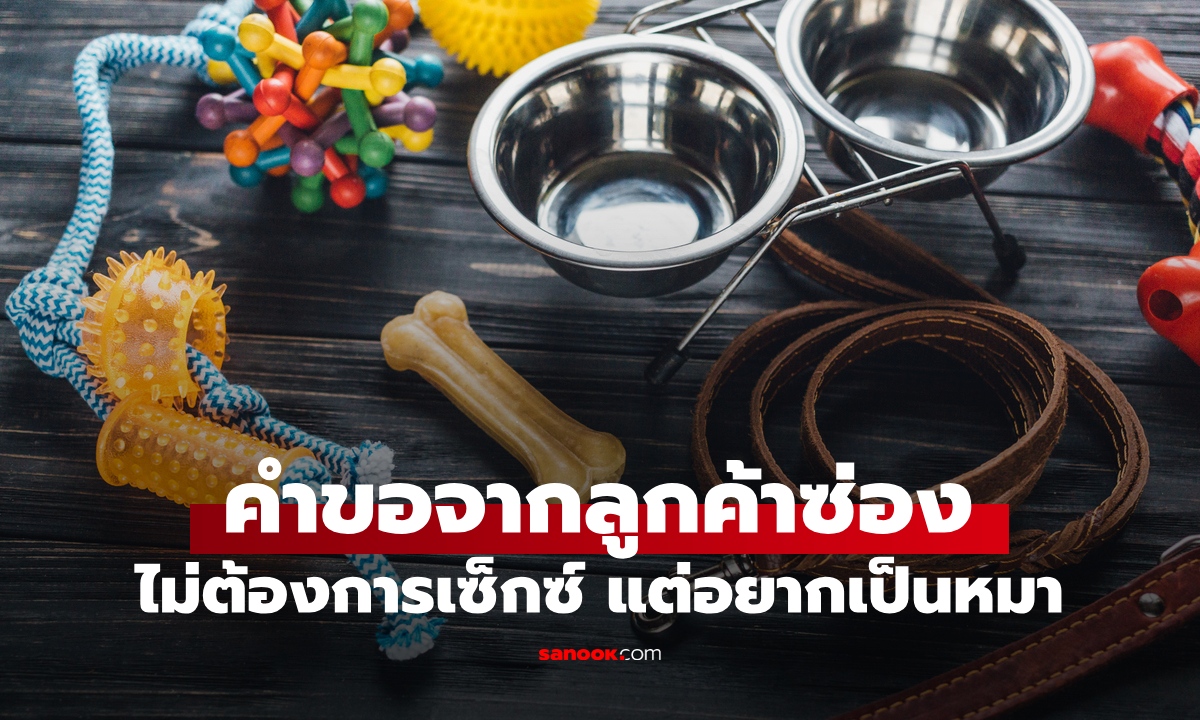 เปิดใจผู้จัดการซ่อง คำขอสุดแปลกของลูกค้า ไม่ได้ต้องการเซ็กซ์ แต่อยากเป็น "หมา"