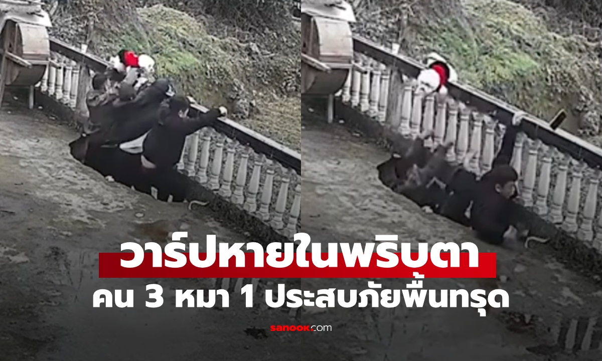 คน 3 หมา 1 ยืนอยู่ดีๆ พื้นทรุด วาร์ปหายไปในพริบตา โดรนจับภาพช็อตเด็ด (คลิป)