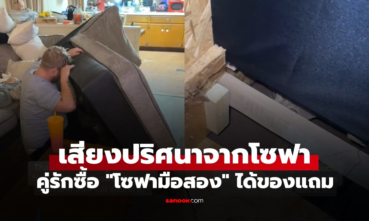 คู่รักตกใจสุดขีด! เสียงปริศนาจากโซฟามือสอง ที่แท้มี "แขกไม่ได้รับเชิญ" ซ่อนอยู่