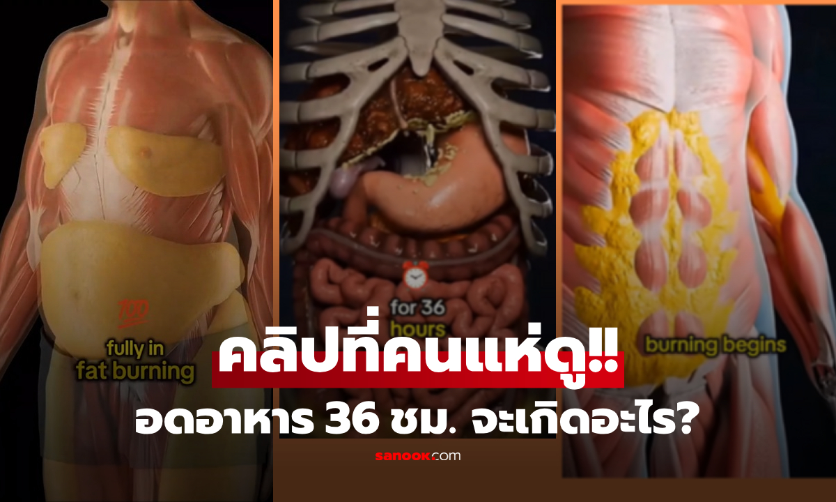 คลิป 28 ล้านวิว เผย "อดอาหาร 36 ชม." ร่างกายจะเกิดอะไรขึ้น? มีจุดพีกที่ทำคนดูช็อก!!!