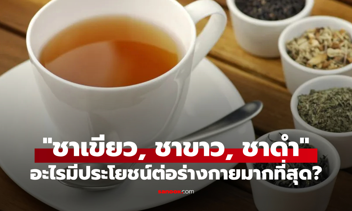 "ชาเขียว, ชาขาว, ชาดำ" อะไรมีประโยชน์ต่อร่างกายมากที่สุด?