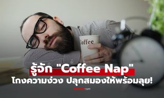 รู้จัก "Coffee Nap" เคล็ดลับโกงความง่วงตอนบ่าย รีเซ็ตสมองให้กลับมาพร้อมลุยงาน!