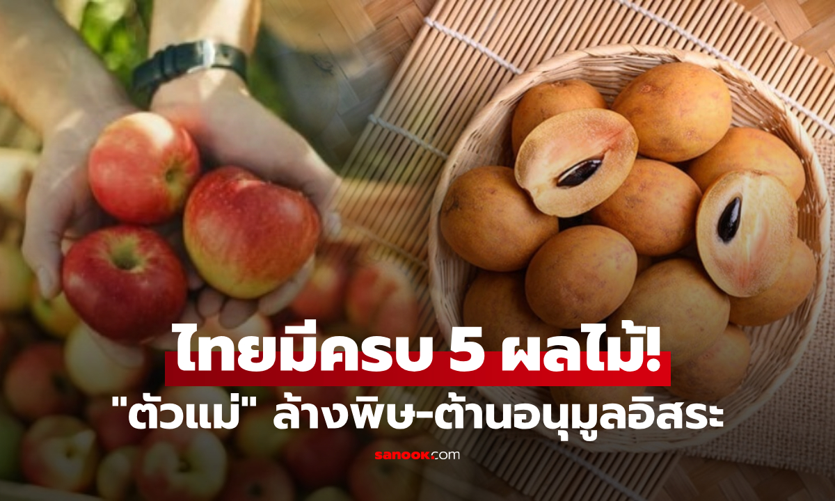 ไทยมีขายครบ!! เว็บนอกอวย 5 ผลไม้ "ล้างพิษ" ในร่างกาย ได้มีประสิทธิภาพที่สุด