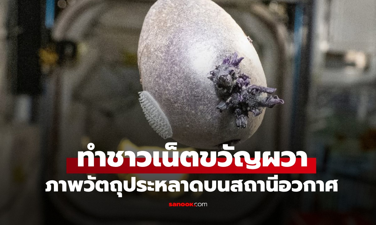 ภาพไวรัล "วัตถุลึกลับบนสถานีอวกาศ" นักบินอวกาศเฉลยแล้ว แท้จริงคืออะไร?