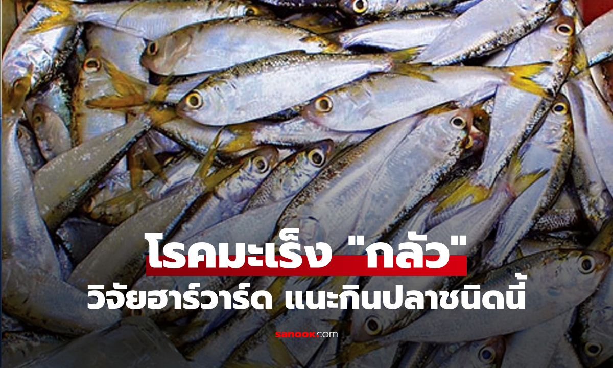 วิจัยฮาร์วาร์ดชี้เป้า 1 ปลาที่กินดี "มะเร็งกลัว" หาซื้อง่าย-ราคาถูก แถมช่วยบำรุงกระดูก