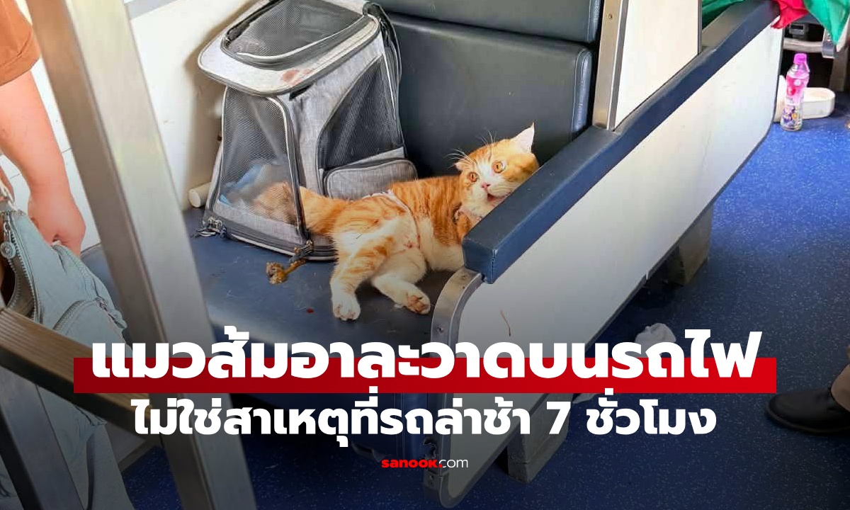 เปิดความจริง "แมวส้ม" คลั่งกัดเจ้าของบนรถไฟ ไม่ใช่สาเหตุที่ขบวนล่าช้า 7 ชั่วโมง