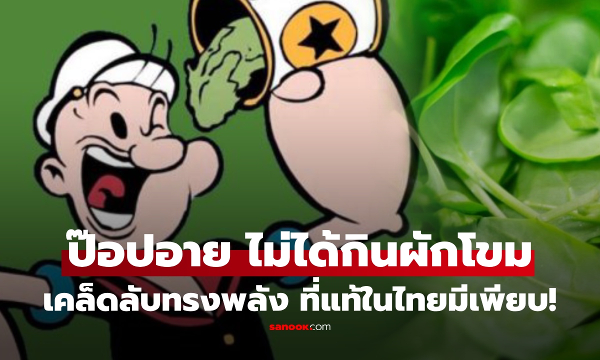 รู้ไหม "ป๊อปอาย" ไม่ได้กินผักโขม แล้วกินอะไร? ที่แท้ในไทยมีเพียบ บำรุงตา ต้านอนุมูลอิสระเป็นเลิศ!