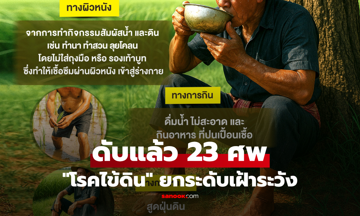 "โรคไข้ดิน" สธ.ยกระดับเฝ้าระวัง หลังพบผู้ป่วย 752 ราย เสียชีวิตแล้ว 23 ราย