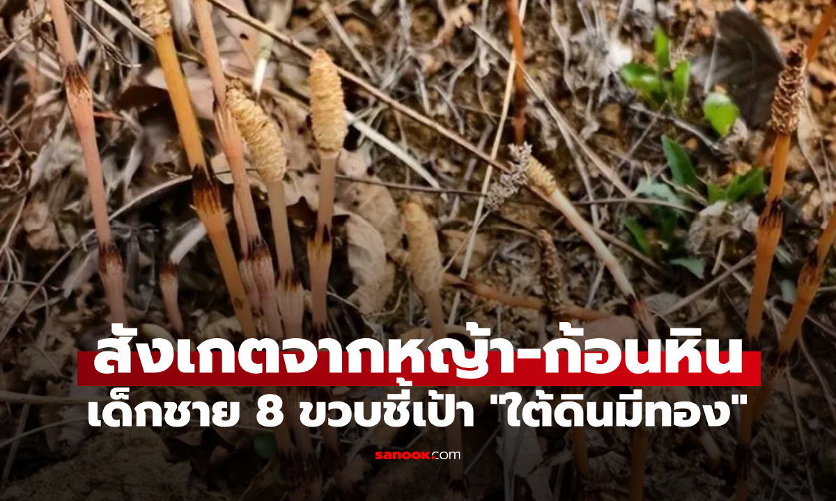 อัจฉริยะ 8 ขวบ! เด็กจีนขุดผักบนเขา จู่ๆ ชี้เป้า "ใต้ดินมีทอง" พ่อใช้ AI เช็กถึงกับอึ้ง