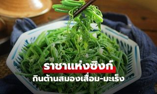 ผักพื้นบ้าน "ราชาแห่งซิงก์" กินต้านสมองเสื่อม-มะเร็ง พร้อมคำเตือน 2 ข้อห้ามกินคู่กับอะไร?